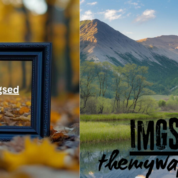 Imgsed: Revolutionizing Image Editing for All