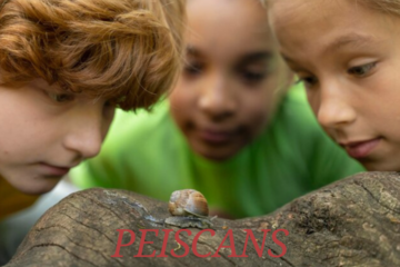 peiscans