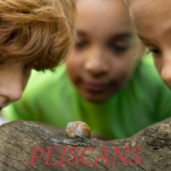 peiscans