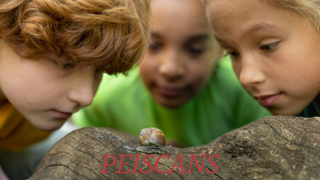 peiscans